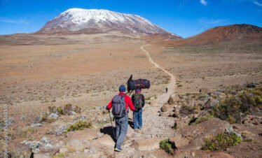 A porter carrying heavy load on his head on the way to Kilimanjaro mountain. Tanzania.
