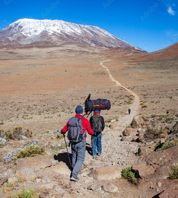 A porter carrying heavy load on his head on the way to Kilimanjaro mountain. Tanzania.
