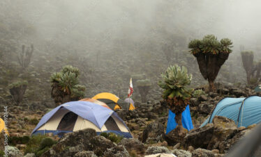 Barranco camp on Machame route. Mount Kilimanjaro, Tanzania.