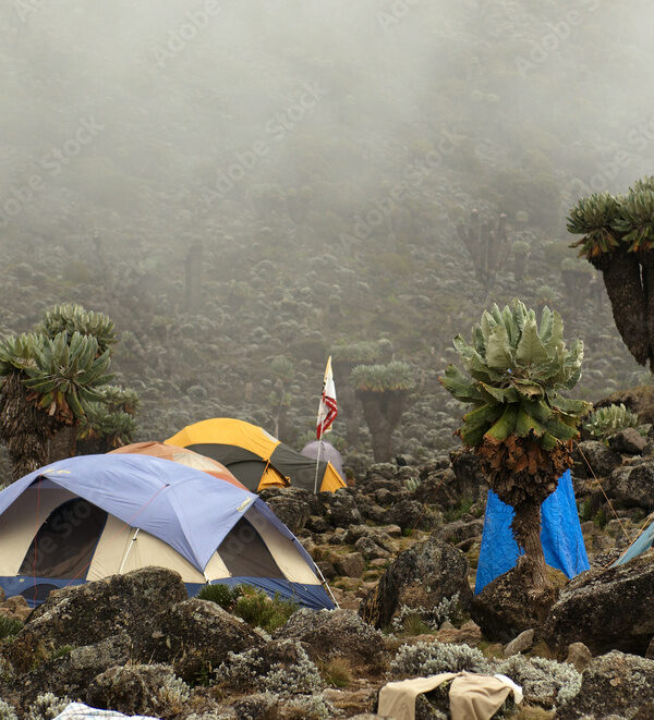 Barranco camp on Machame route. Mount Kilimanjaro, Tanzania.