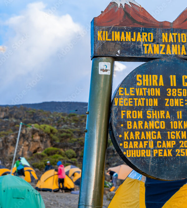 Camping on mount Kilimanjaro in tents to see the glaciers in Tanzania, Africa