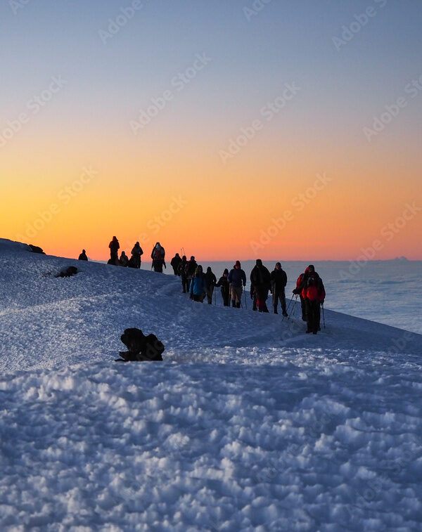 hikers on the ridge ascend mount kilimanjaro the tallest peak in africa.