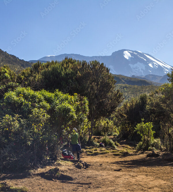 machame route kilimanjaro