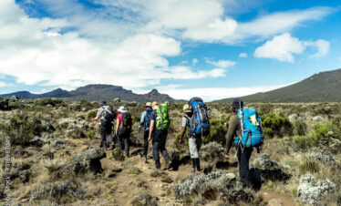 Trekking am Kilimandscharo, Tansania / Aufstieg über die Lemosho Route, Shira-Plateau