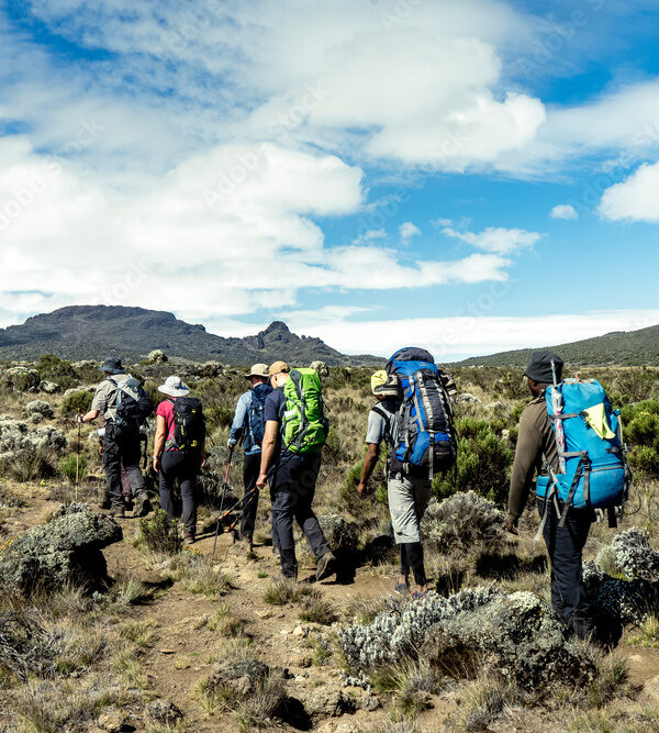 Trekking am Kilimandscharo, Tansania / Aufstieg über die Lemosho Route, Shira-Plateau