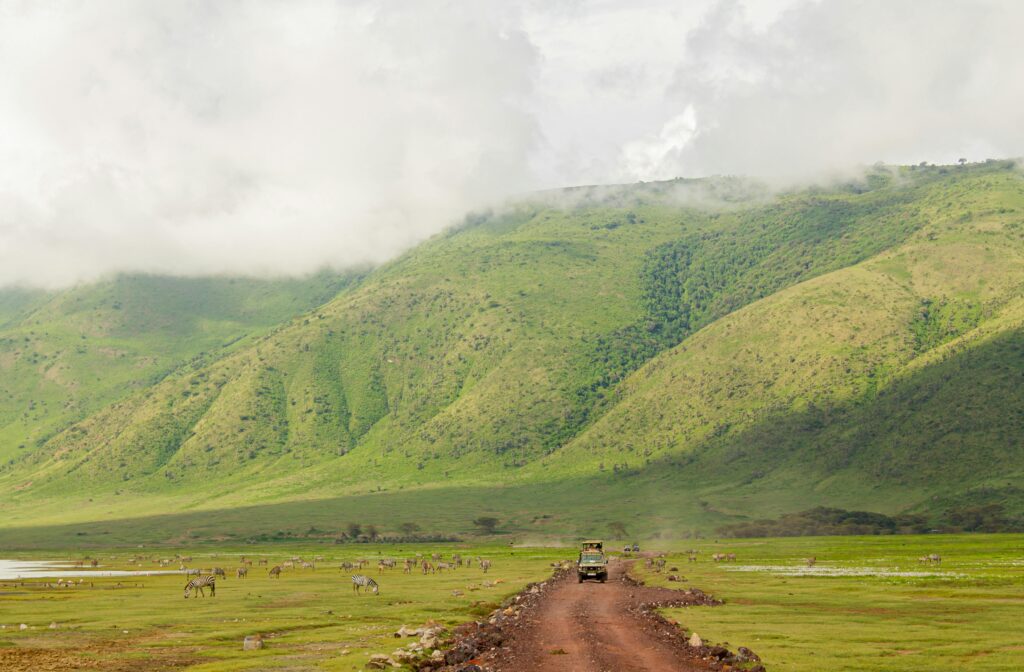 Explore the vast landscapes and wildlife of Ngorongoro Crater with a safari jeep adventure.