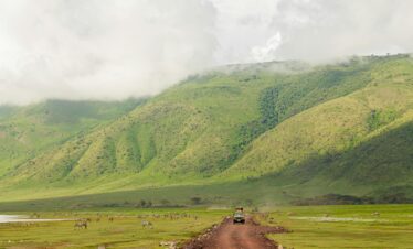 Explore the vast landscapes and wildlife of Ngorongoro Crater with a safari jeep adventure.