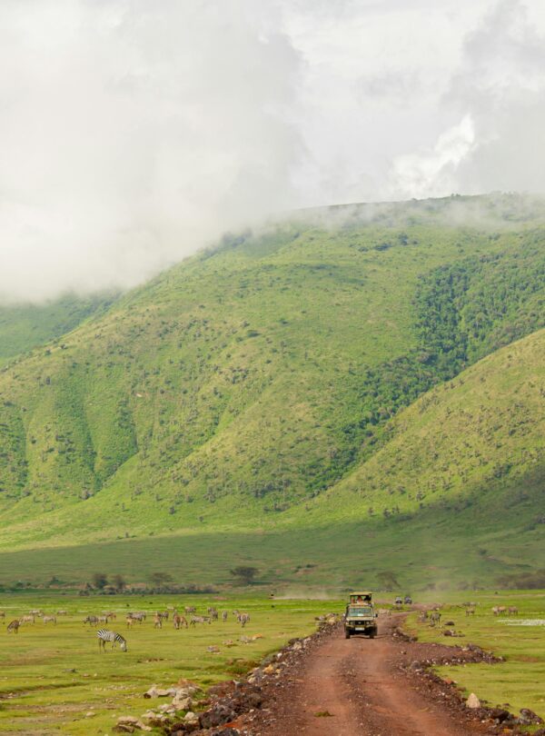 Explore the vast landscapes and wildlife of Ngorongoro Crater with a safari jeep adventure.